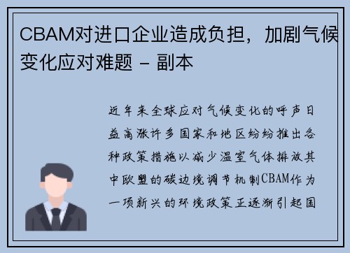 CBAM对进口企业造成负担，加剧气候变化应对难题 - 副本