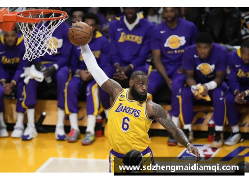 米博体育官网NBA湖人队赛点战！震撼全场，精彩重现历史辉煌 - 副本
